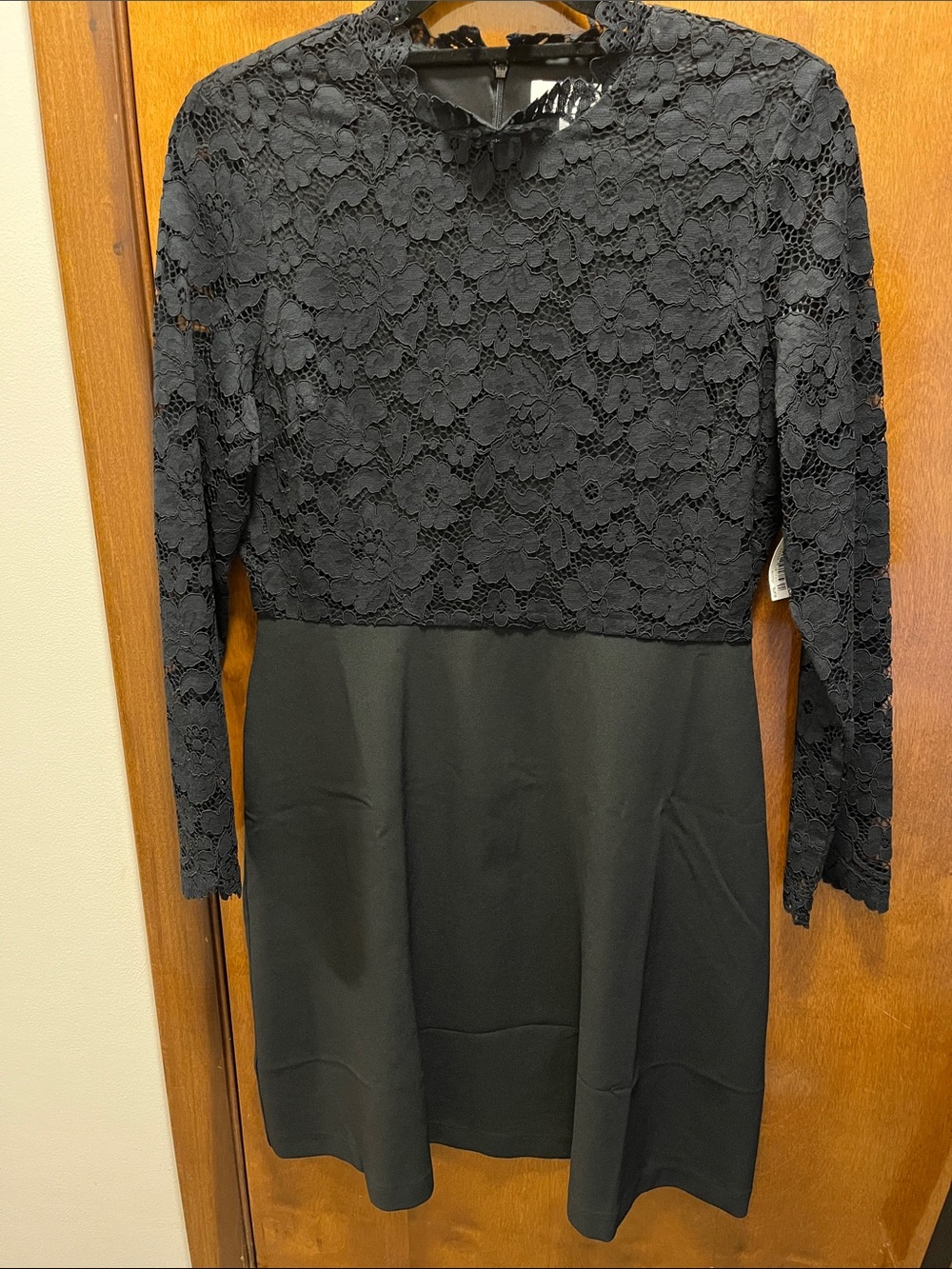 Lark & Ro Black Long-Sleeve Lace Dress